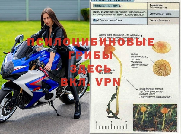героин Аркадак
