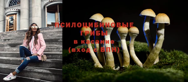 каннабис Арсеньев